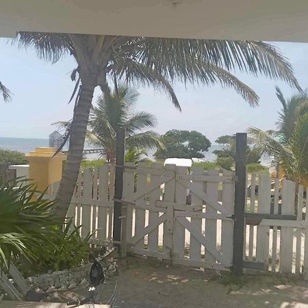 Hotel The Novelo Caye Caulker Exteriér fotografie