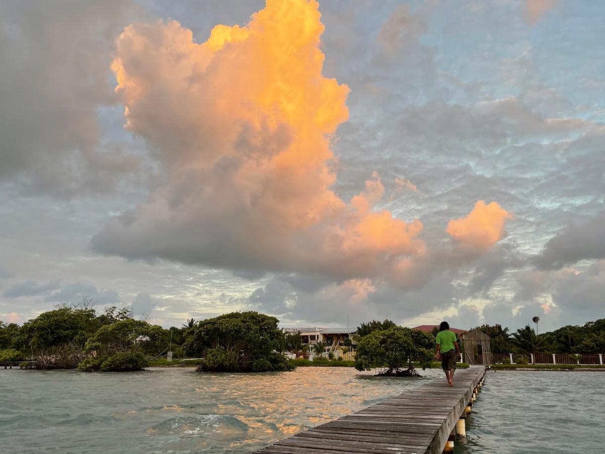 Hotel The Novelo Caye Caulker Exteriér fotografie