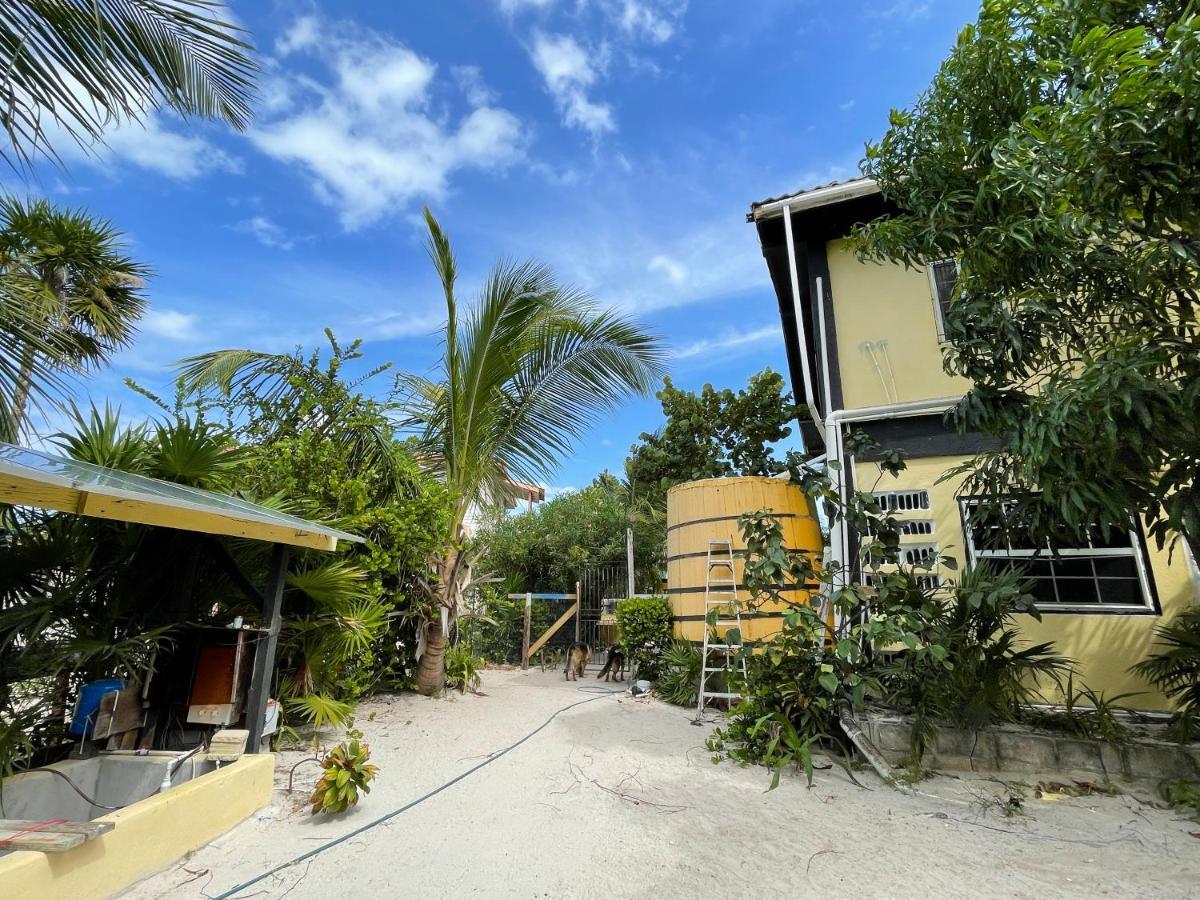 Hotel The Novelo Caye Caulker Exteriér fotografie